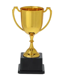 Custom gold cup 19 cm