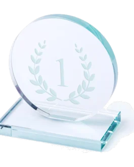 Custom round glass award