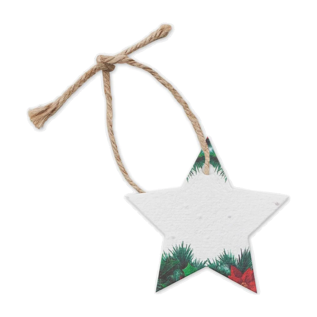 Décoration en papier semences, customisable – Starseed