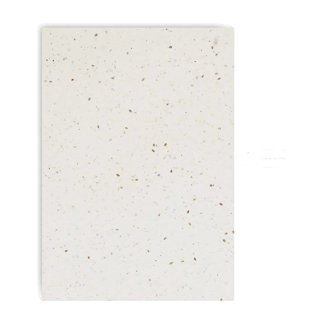 Carnet A5 couverture en papier à graines, customisable – Seed Book
