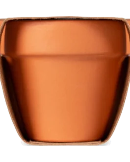 Pot avec graines de menthe personnalisable Mint Pot