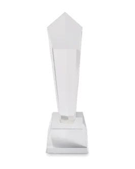 Prix en cristal dans un coffret personnalisable Diaward