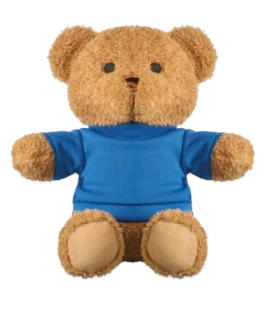 Peluche Ourson t-shirt 23cm personnalisable Jackie