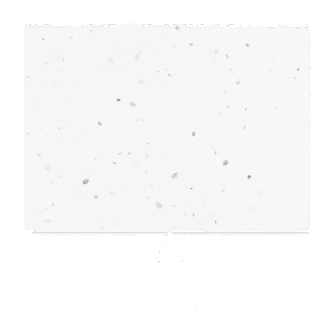 Bloc notes couverture à planter MO6234, customisable – Grow Me
