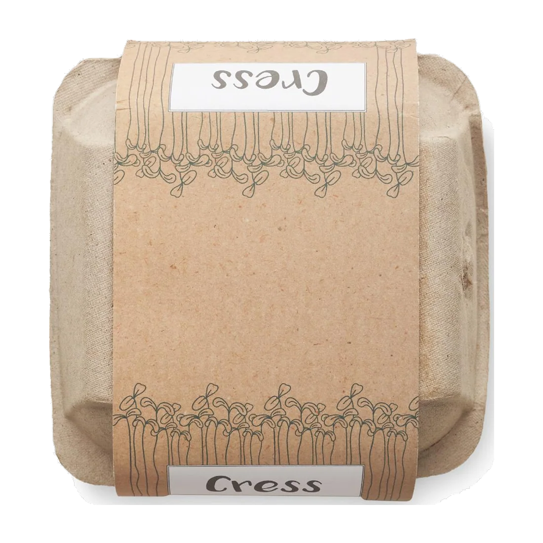 Kit de culture de cresson, customisable