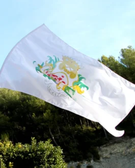 Drapeau à agiter personnalisé
