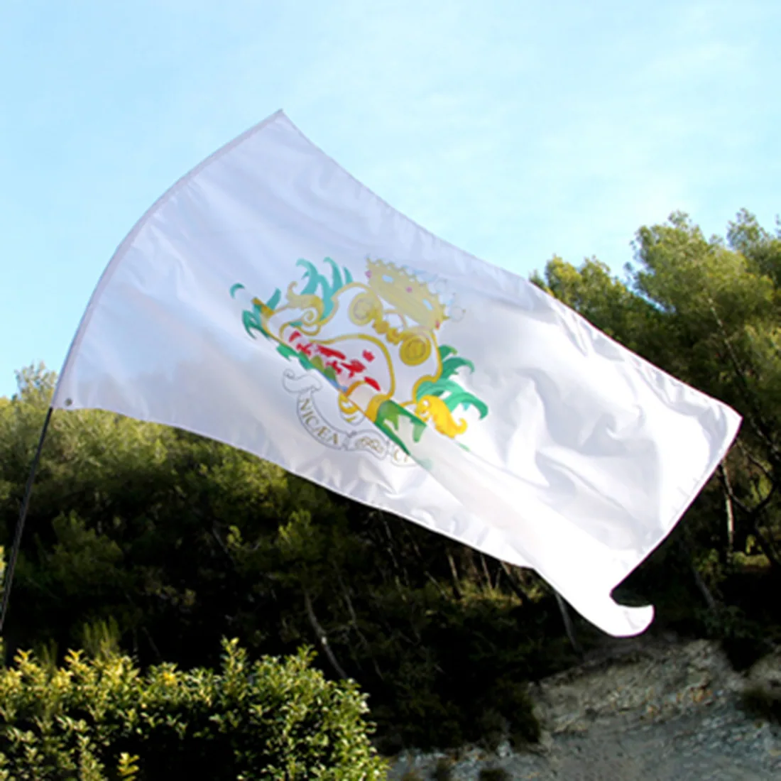Drapeau à agiter personnalisé