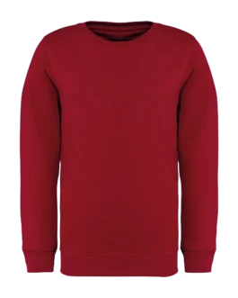 Eco-friendly Kids' round neck sweatshirt, customisable – Native Spirit