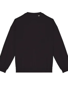 Sweat-shirt écoresponsable oversize French Terry unisexe personnalisable Native Spirit