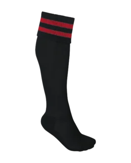 Chaussettes de sport rayées unisexe personnalisées PROACT